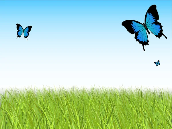 자세한 잔디와 나비와 푸른 하늘 — 스톡 벡터