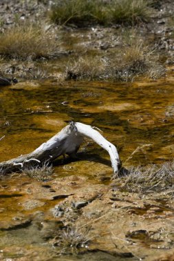 yellowstone jeotermal ile oluşturma