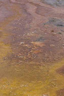 yellowstone jeotermal tarafından renkli reklamlar