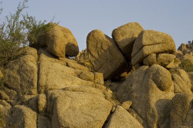 kaya oluşumu joshua tree national Park