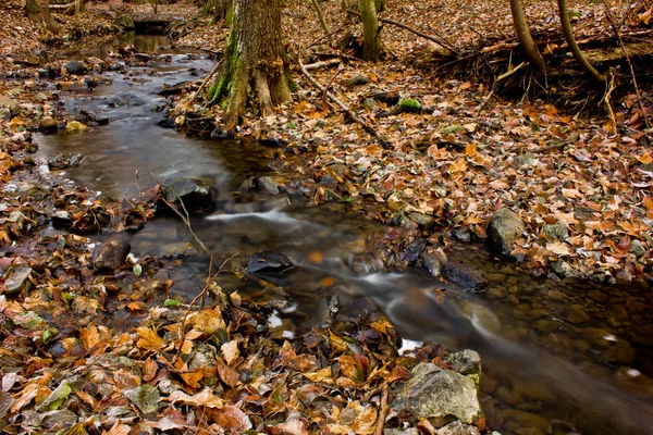 Ορμώντας creek — Φωτογραφία Αρχείου