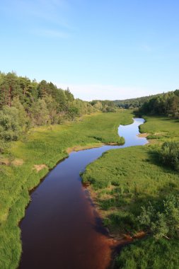 büyük salym Nehri