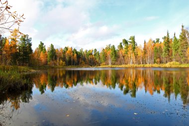 ahşap lake Güz