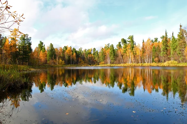 Lago de madera en el otoño — Foto de Stock