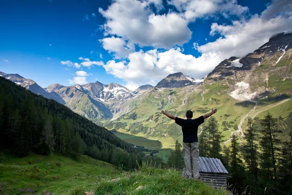 stock image Man lifts her arms in victory.