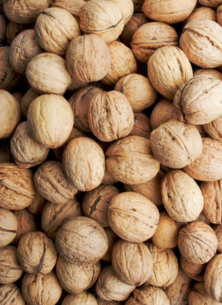 Stock image Nuts, walnut