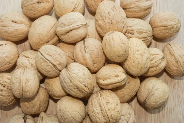 Stock image Walnuts