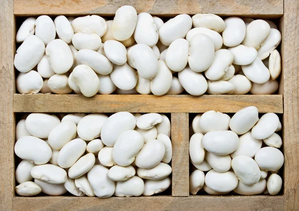 White kidney beans — Stock Photo, Image
