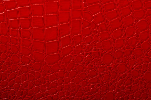 stock image Skin texture