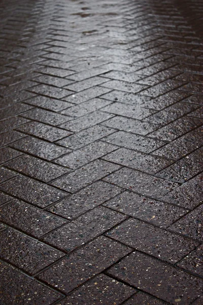 Wet tile stone way — Stock Photo, Image