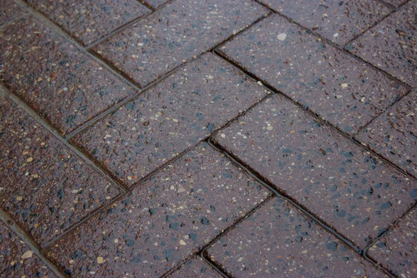 Wet tile stone way — Stock Photo, Image