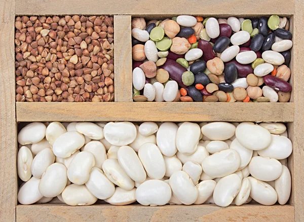 Различные типы зерна — стоковое фото