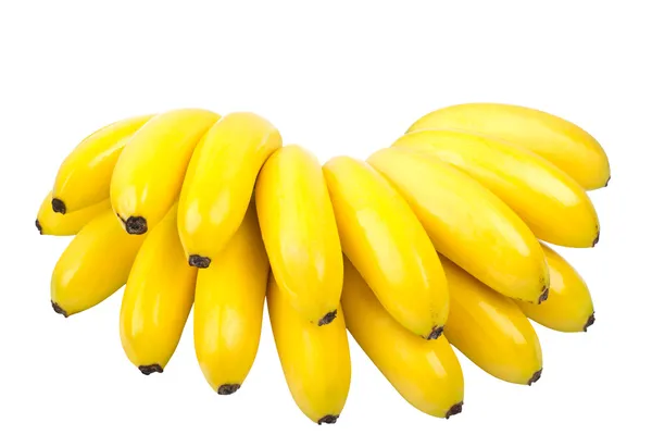 stock image The bunch of small bananas isolated on white