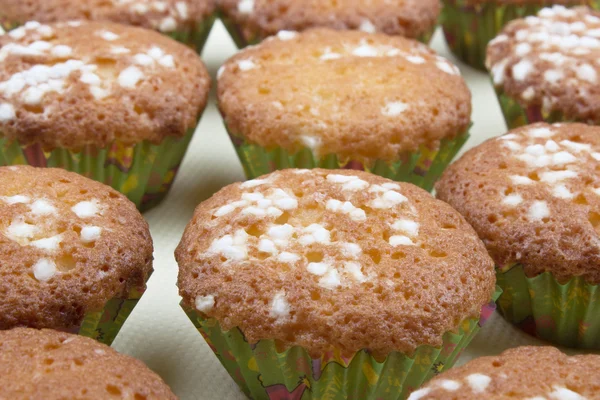 Fresh small muffins — Stock Photo, Image