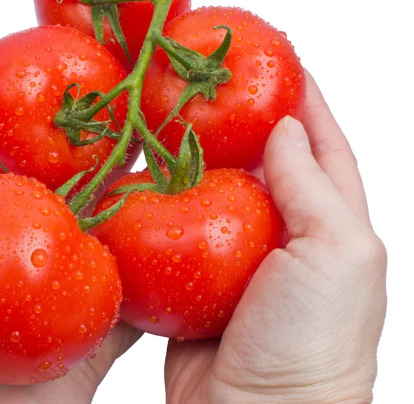 Wet tomatoes isolated on white — Stock Photo, Image