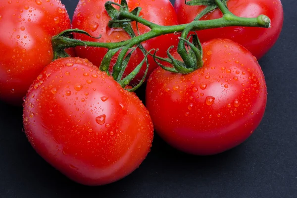 Tomatoes isolated on black — Stock Photo, Image
