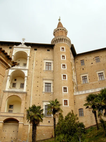 Palazzo Ducale in Urbino - Italien — Stock Photo, Image