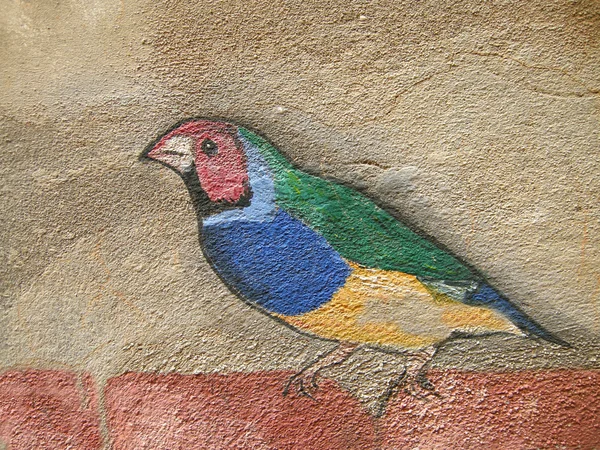 Vogelzeichnung auf Mauerwerk — Stock Fotó