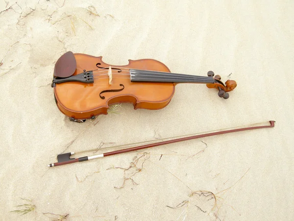 Geige ам пасмо — стокове фото