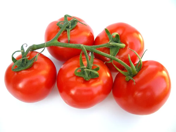 stock image Ripe tomatoes on vine