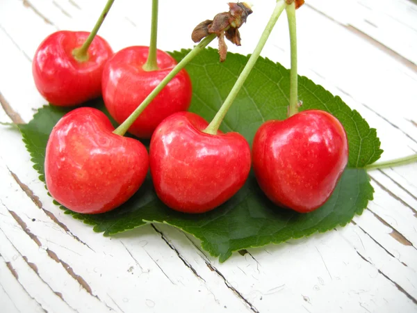 Red cherries on leaf — Stock Photo, Image