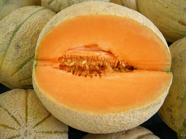 Melão-melão — Fotografia de Stock