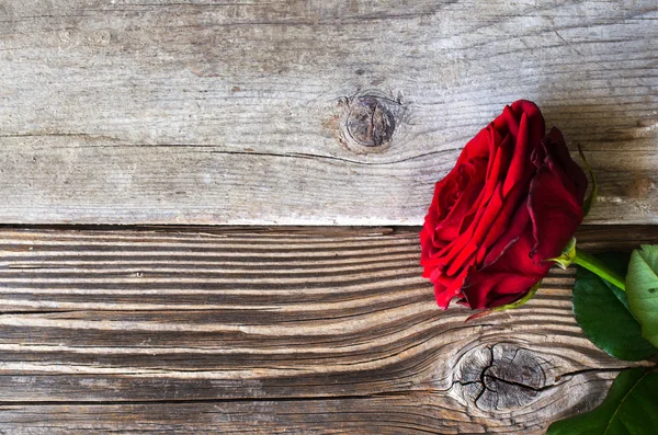 Red rose over wood — Stock Photo, Image