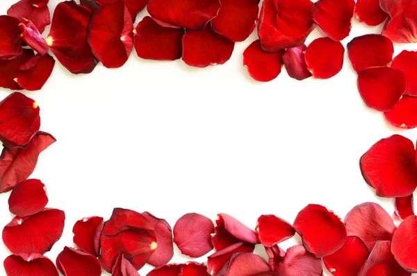 Rose petals frame — Stock Photo, Image