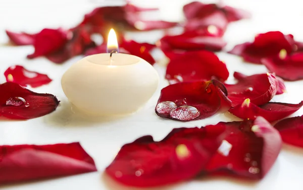Rose petals and candle Stock Image