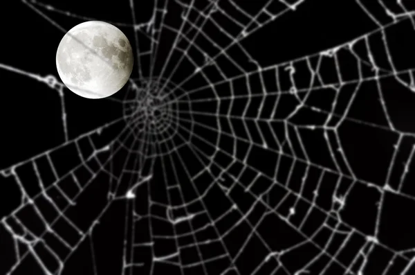 月亮和模糊的蜘蛛网 — 图库照片