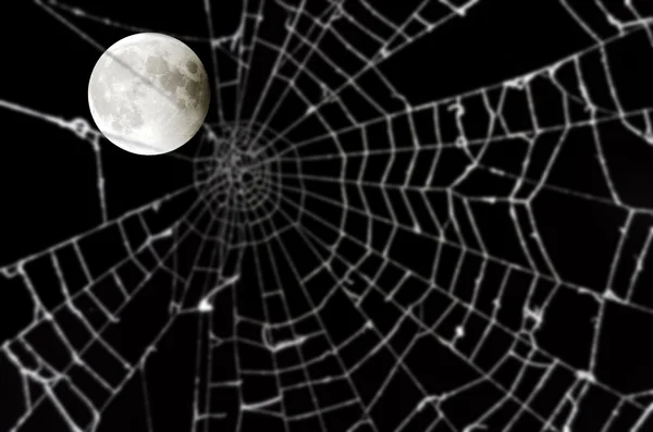 stock image Moon and blurred spider web