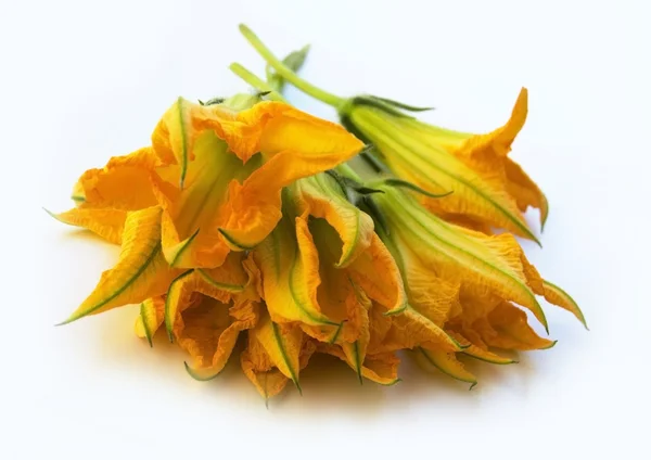 stock image Edible zucchini flowers