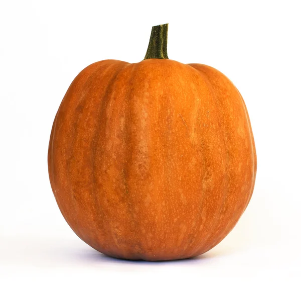 Pumpkin Royalty Free Stock Images