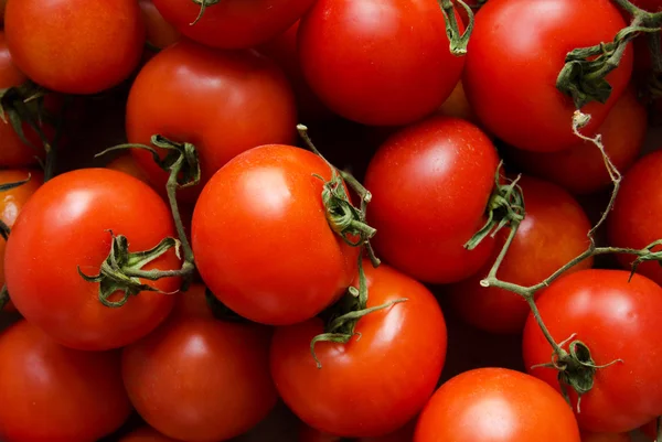 stock image Tomatoes