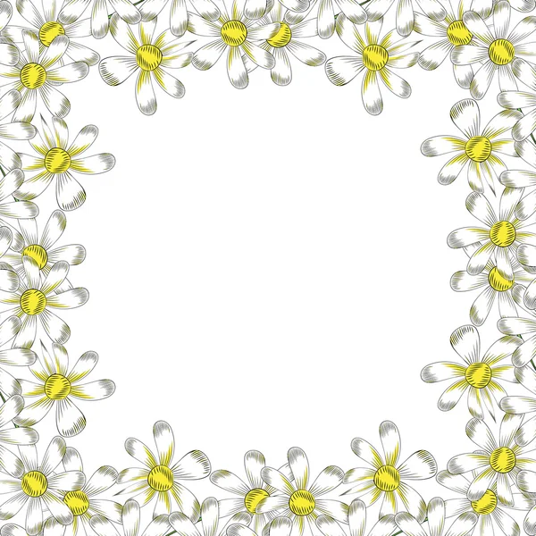 Beyaz zemin üzerinde papatya çiçeği — Stok Vektör
