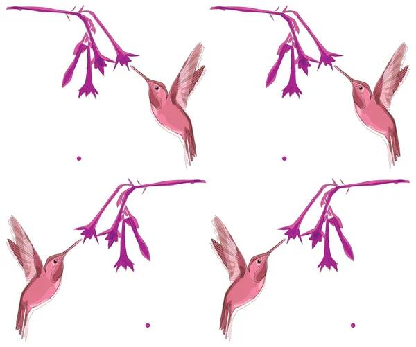 Hummingbird pattern — Stock Vector