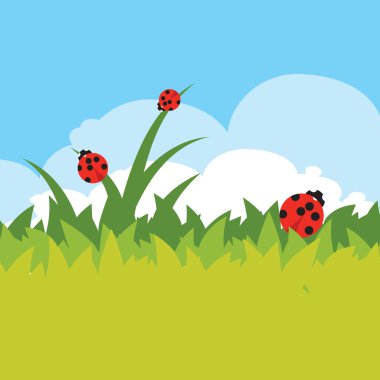 Yeşil çimenlerin üzerinde ladybugs