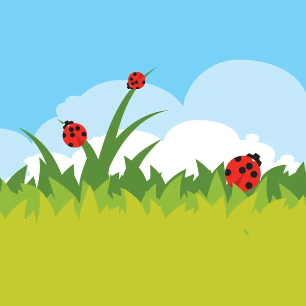 Ladybugs on green grass — Stock Vector