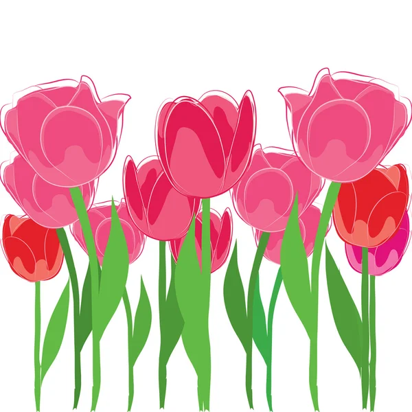 Tulipa vectora — Vetor de Stock