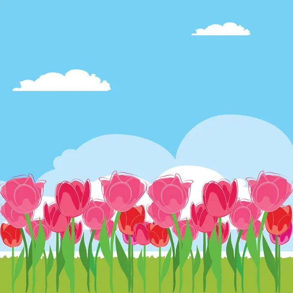 Plantacji tulipanów — Wektor stockowy