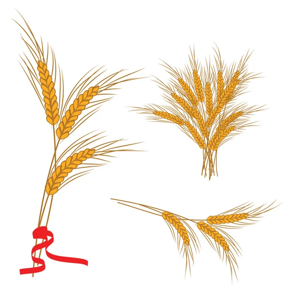 Vetor de trigo — Vetor de Stock