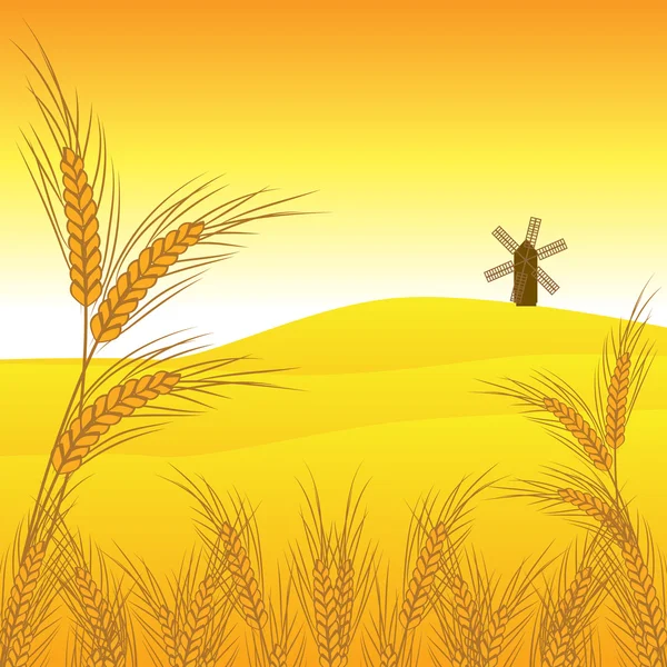 Vecteur de blé — Image vectorielle