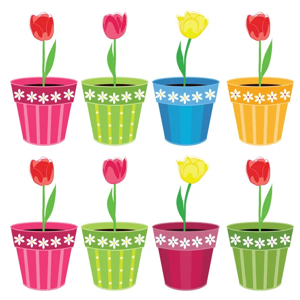 Tulips in a pot — Stock Vector