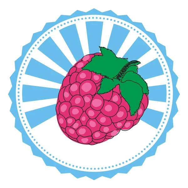 矢量标签树莓 — 图库矢量图片