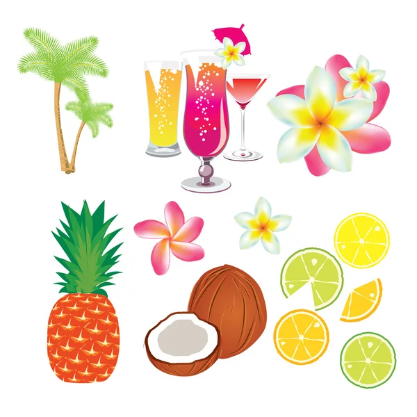 Frutta tropicale, fiori e cocktail — Vettoriale Stock