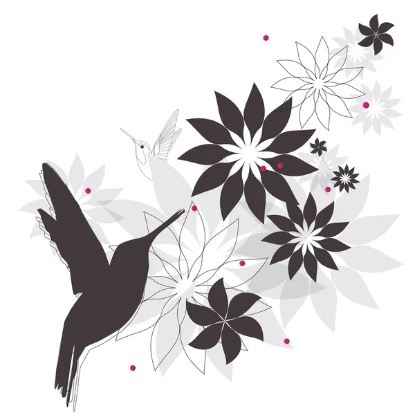 Colibri et fleurs — Image vectorielle