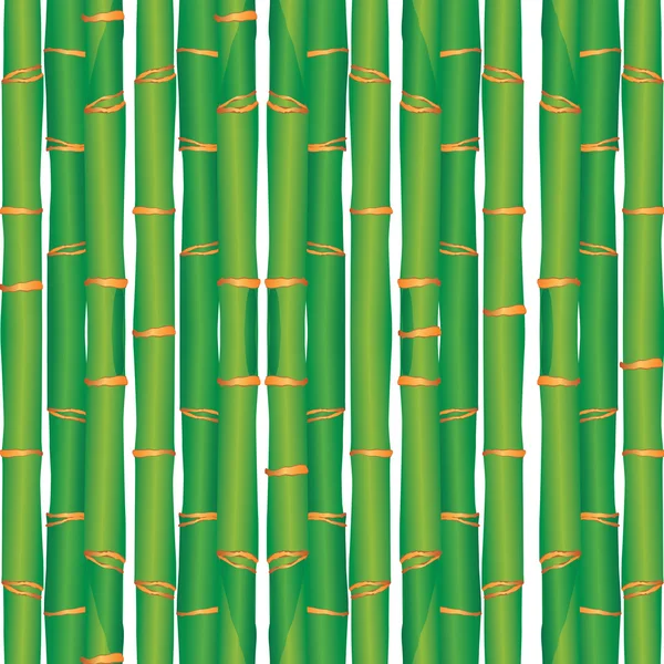 Patrón sin costuras de bambú — Vector de stock