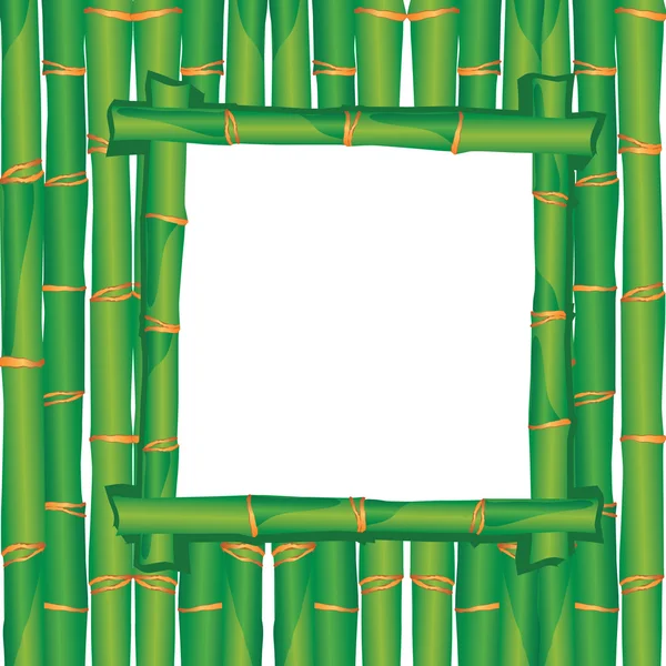 Vektor bambusz — Stock Vector