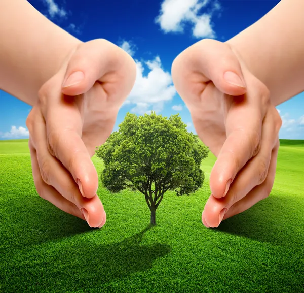 Earth Ecology — Stock Photo, Image