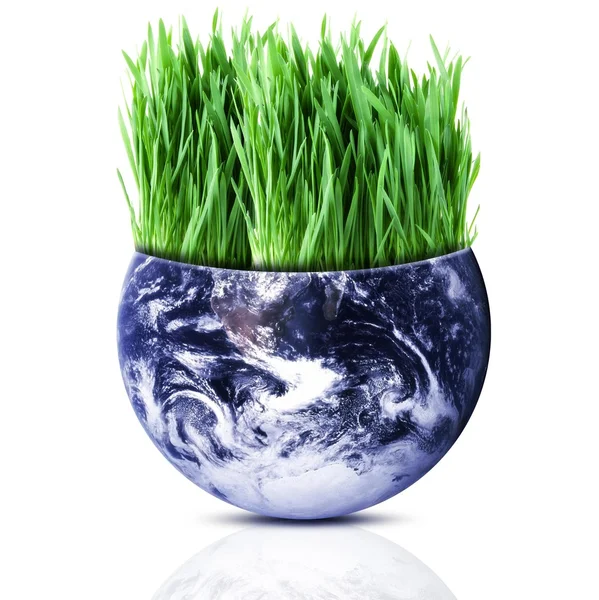 Aarde Ecologie — Stockfoto